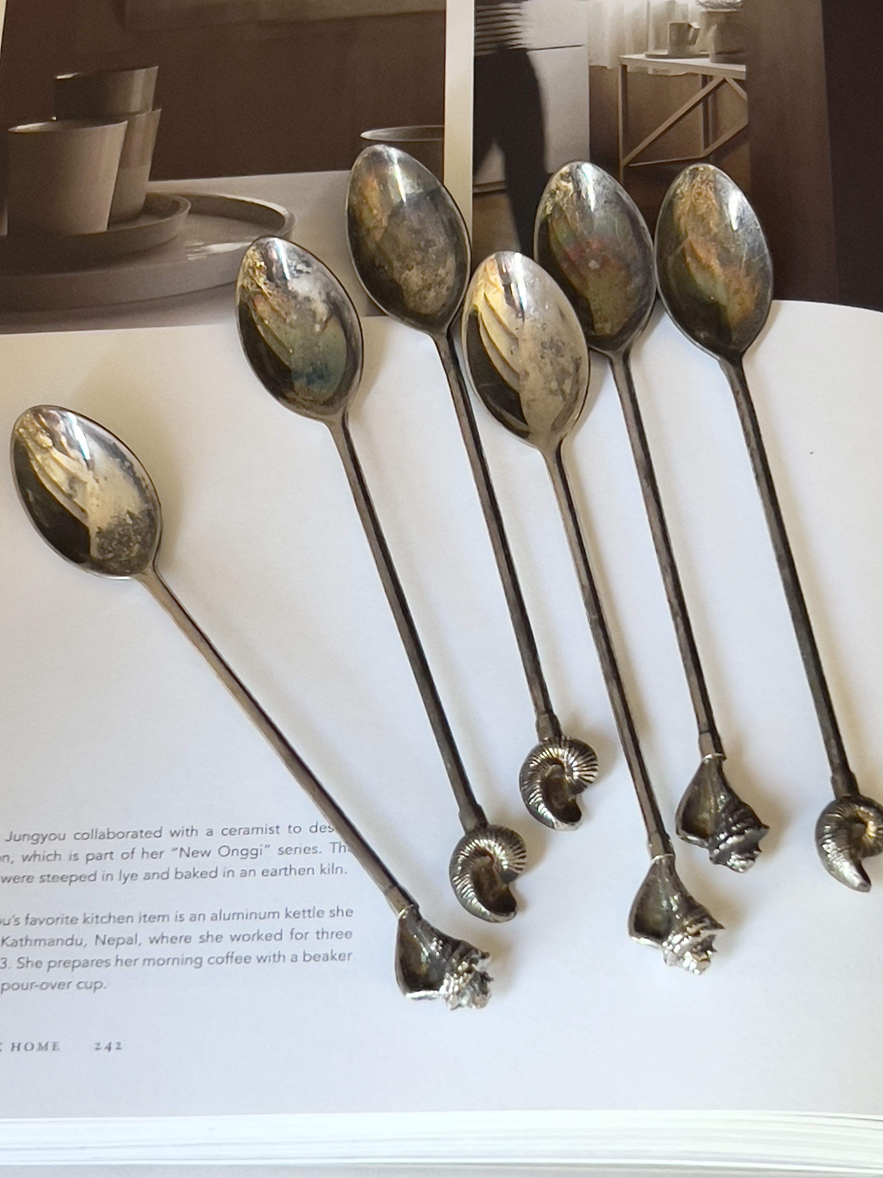 Set verzilverde theelepeltjes schelpen