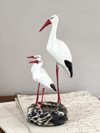 Stork
