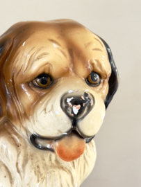 Vintage hond St Bernard