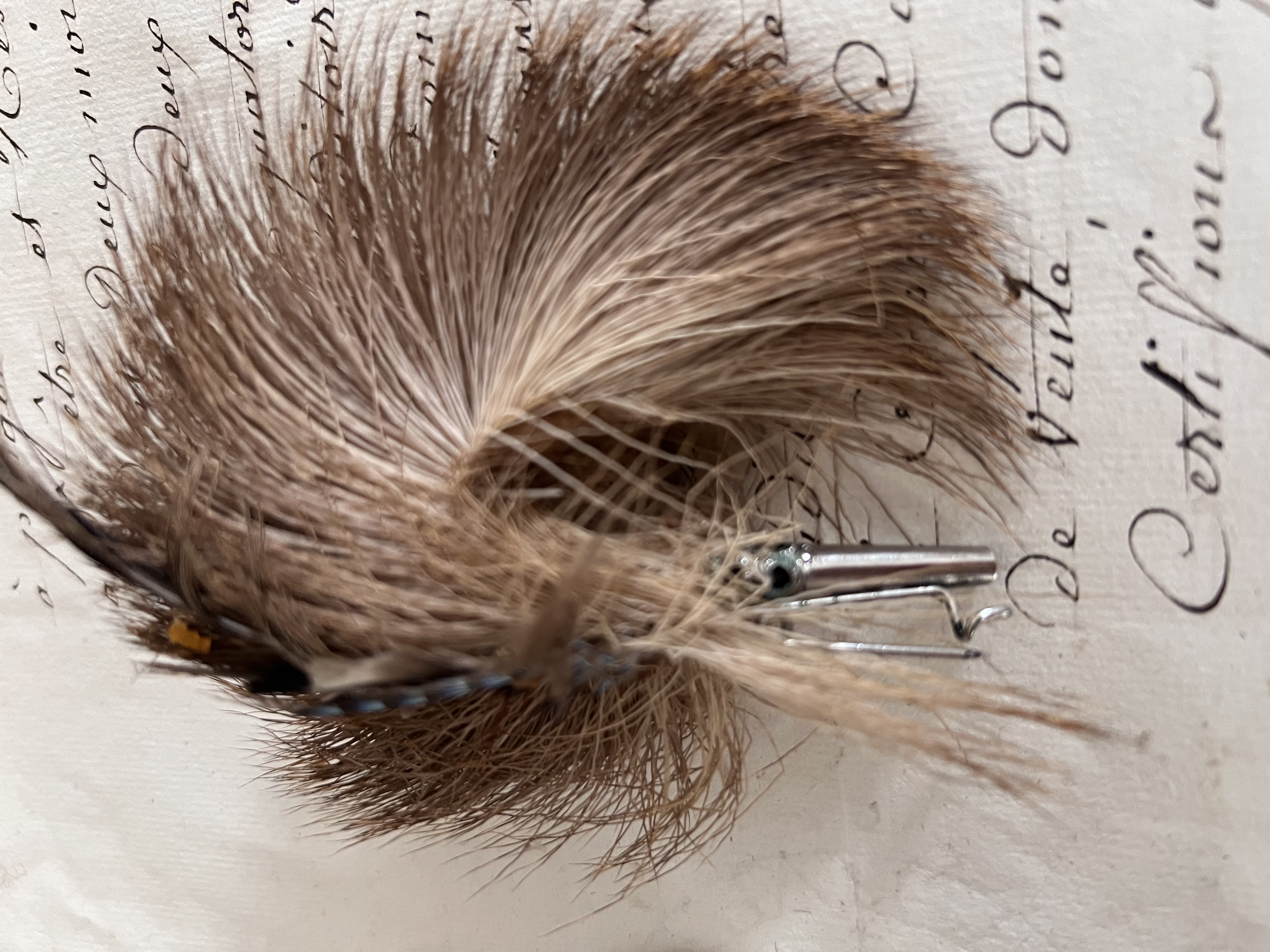 Corsage/ Hoeden veer