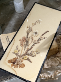 Vintage: old framed dried flowers