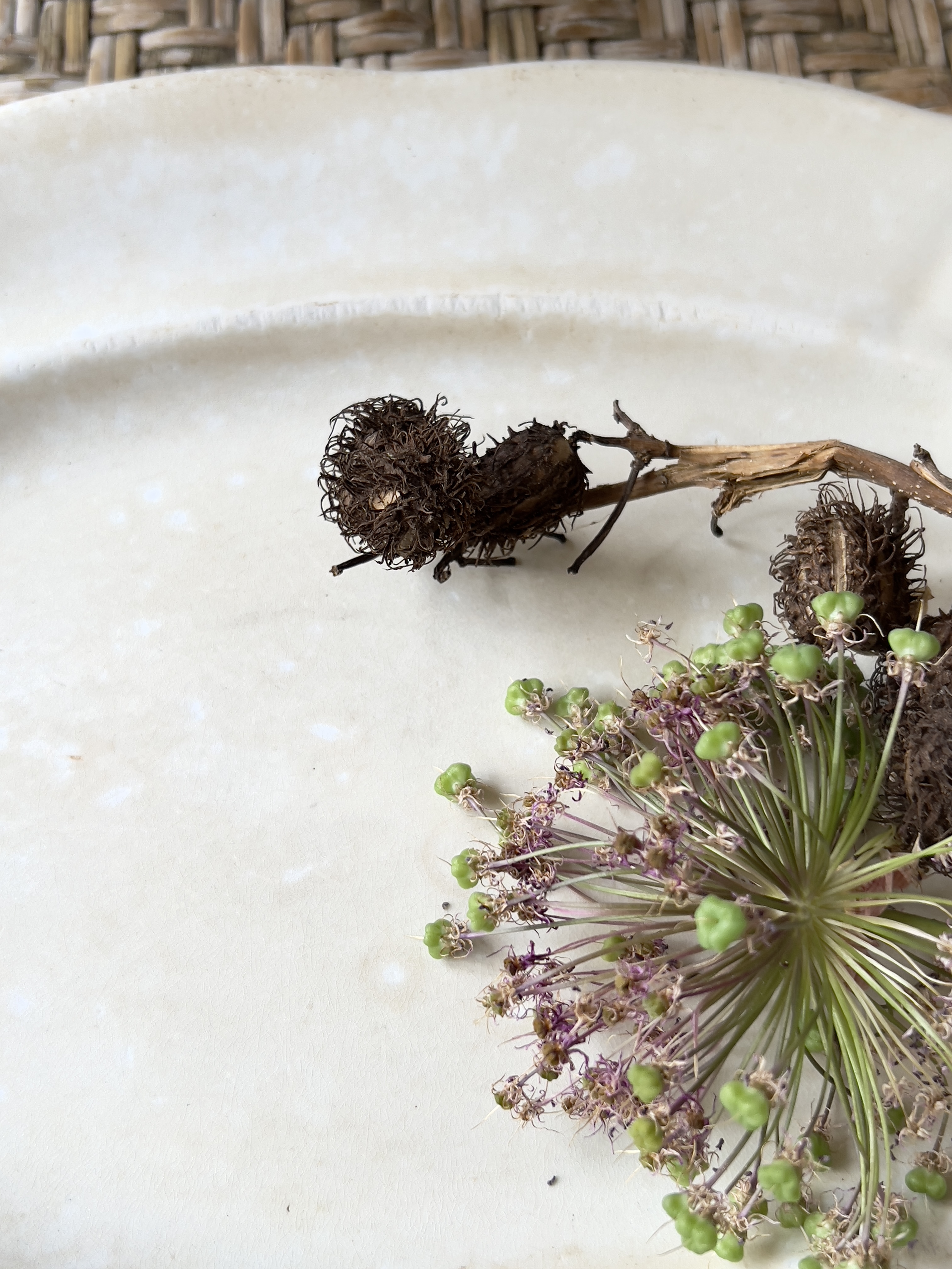 Large serving dish