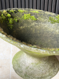 Concrete planter by Willy Guhl