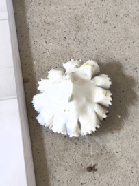 Porcelain flower