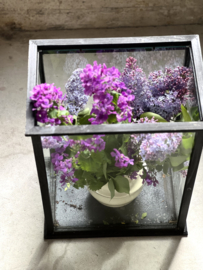 Mooie vitrine kast