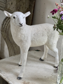 Antique terracotta lamb