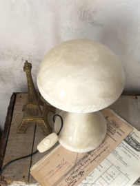 Special mushroom lamp