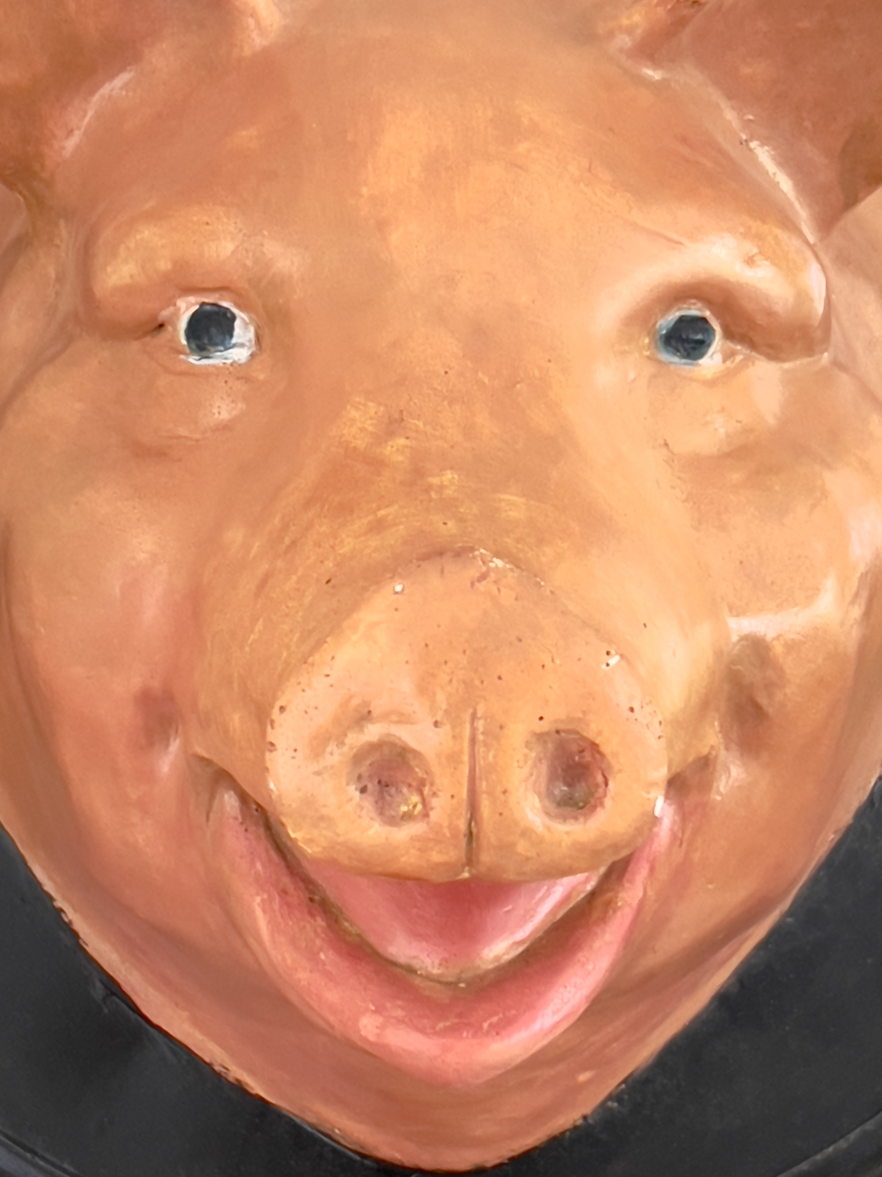 Boucherie tête de cochon