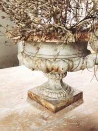 French jardinière