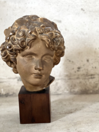 Beautiful french bust