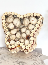 Jewelry box shells butterflies