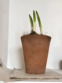 Antique french terra cotta pot