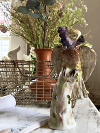 Old ceramic french parrot