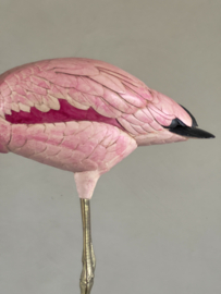 Pink flamingo