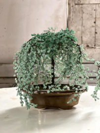 Beautiful little beads bonsai tree