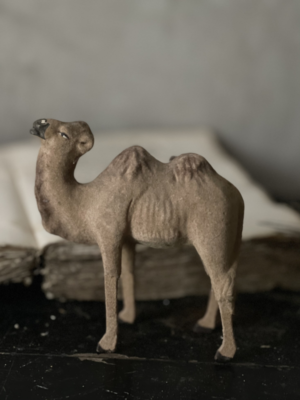 Flock kameel
