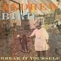 Andrew Bird - Break It Yourseld 2LP