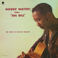 Waters, Muddy Sings Big Bill Broonzy LP
