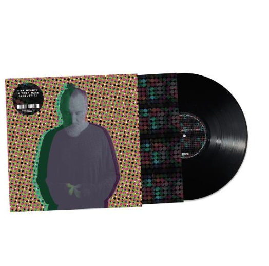 Fink Beauty In Your Wake Acoustic LP