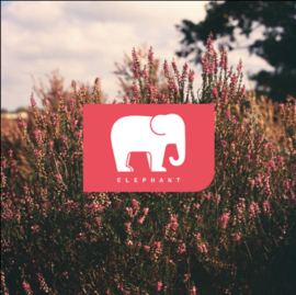 Elephant EP 10"