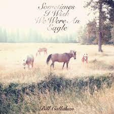 Bill Callahan Sometimes I Wish We Were an Eagle LP