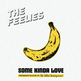 Feelies Some Kinda Love: The Music Of The Velvet Underground 2LP - Coloured Vinyl-