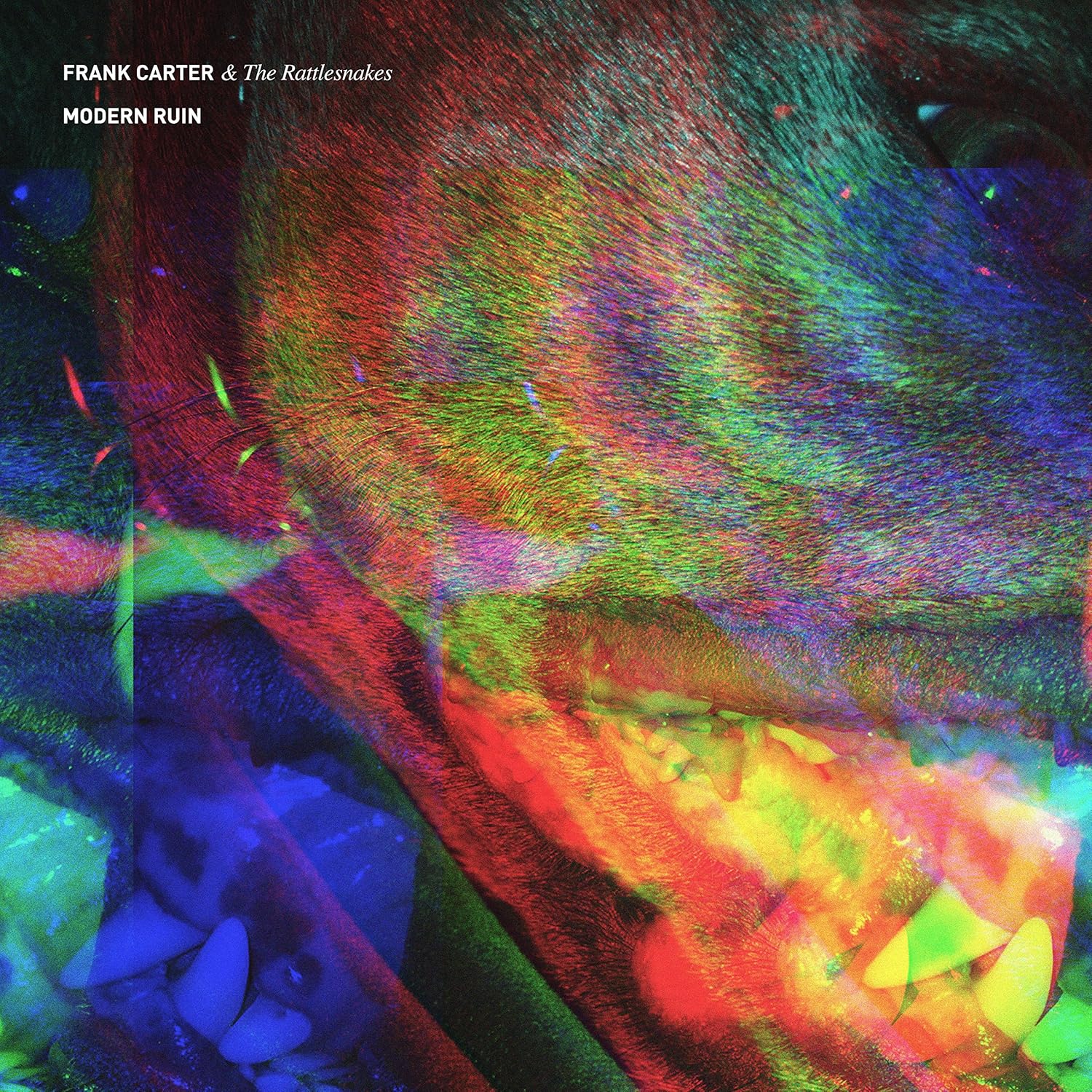 Frank Carter & the Rattlesnakes Modern Ruin LP