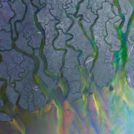 Alt-J An Awesome Wave LP - White Vinyl -