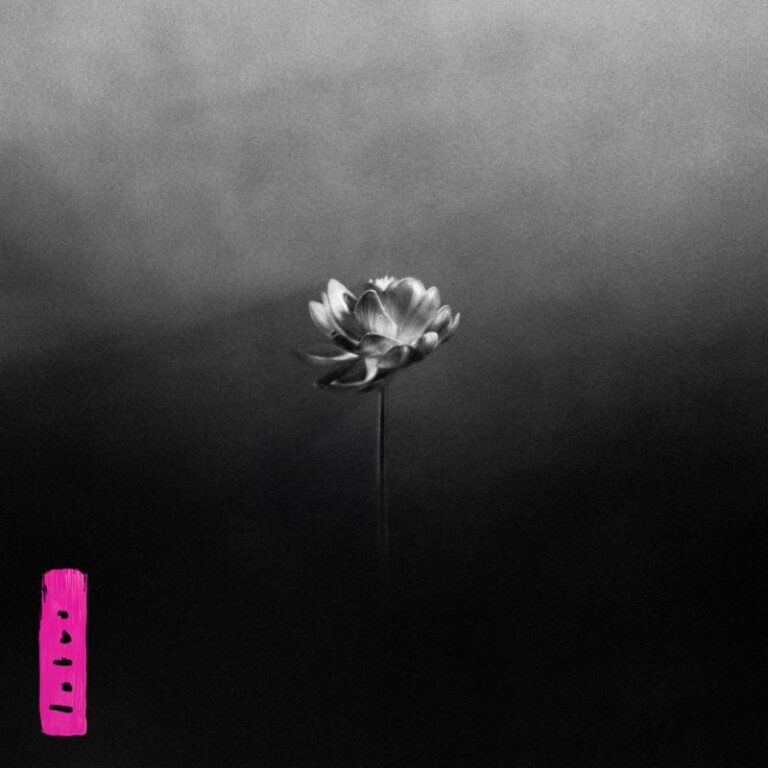 Little Simz Lotus LP
