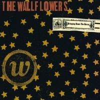Wallflowers The Bringing Down The Horse 2LP