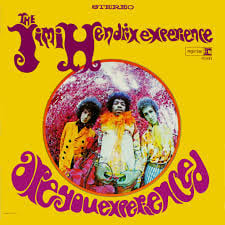 Jimi Hendrix Are You Experienced LP - Mono-