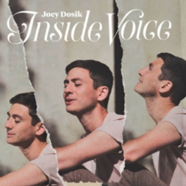 Joey Dosik Inside Voice LP - Coloured Vinyl-