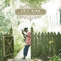 Erib Bibb - Deeper In The Well LP