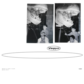 Vegyn Only Diamonds Cut Diamonds 2LP