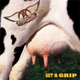 Aerosmith Get A Grip 180g 2LP