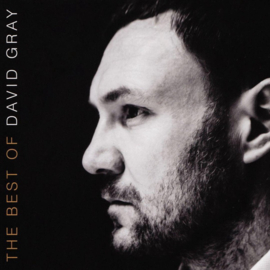 David Gray Best Of 2LP