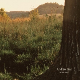 Andrew Bird Noble Beast 2LP