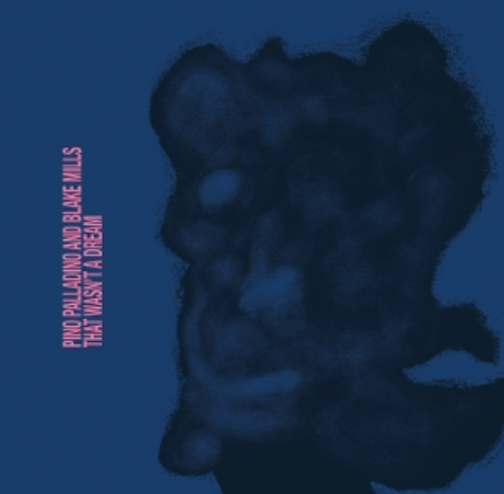 Pino Palladino & Blake Mills That Wasn't A Dream LP