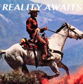 The Strokes Reality Awaits LP