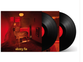 Fontaines D.c. Skinty Fia 2LP