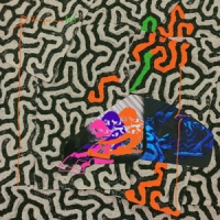 Animal Collective Tangerine Reef -ltd- LP