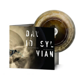 David Sylvian The Distance Between the Killer and the Killing CD