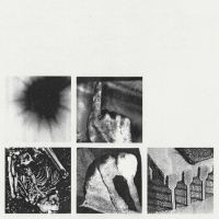 Nine Inch Nails Bad Witch LP