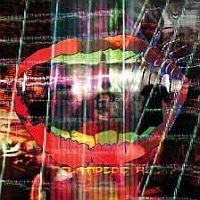 Animal Collective - Centipede HZ LP -Luistertrip