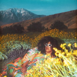 Brittany Howard - What Now LP Coloured Vinyl