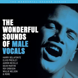 The Wonderful Sounds Of Male Vocals 200g 2LP