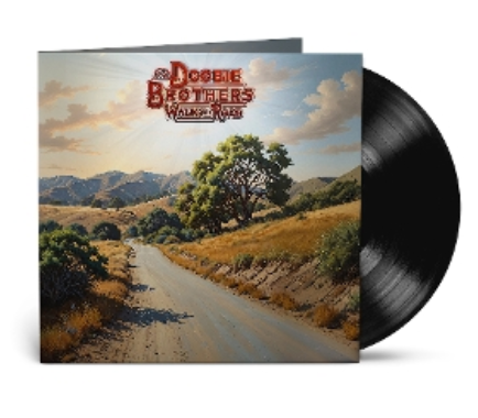 The Doobie Brothers Walk This Road LP