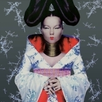 Bjork Homogenic LP