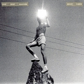 Mount Kimbie Love What Survives LP