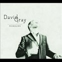 David Gray - The Foundling LP